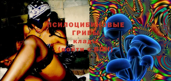 амф Абинск