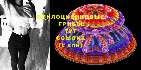 амф Абинск