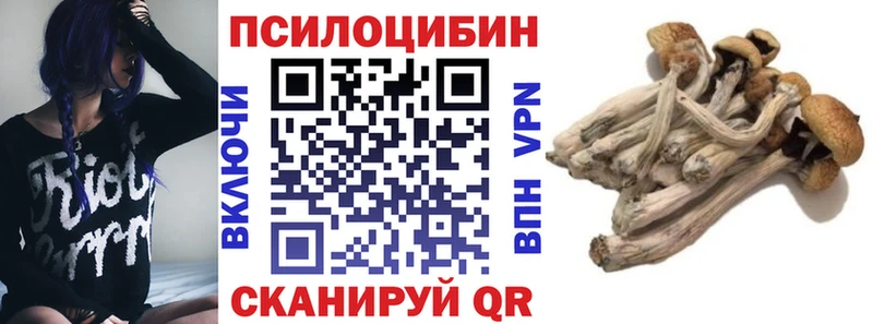Псилоцибиновые грибы Psilocybe  сколько стоит  blacksprut зеркало  Карасук 