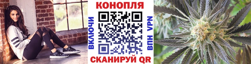 Конопля MAZAR  Карасук 